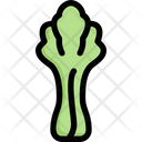 پیش‌نمایش فایل celery-2748195 از پک سبزیجات