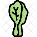 پیش‌نمایش فایل chinese-cabbage-2748193 از پک سبزیجات