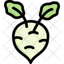 پیش‌نمایش فایل kohlrabi-2748181 از پک سبزیجات