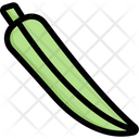 پیش‌نمایش فایل okra-2748178 از پک سبزیجات