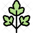 پیش‌نمایش فایل parsley-2748177 از پک سبزیجات