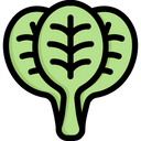 پیش‌نمایش فایل spinach-2748170 از پک سبزیجات