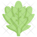 پیش‌نمایش فایل arugula-2748535 از پک سبزیجات