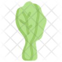 پیش‌نمایش فایل chinese-cabbage-2748520 از پک سبزیجات