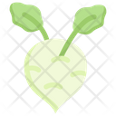 پیش‌نمایش فایل kohlrabi-2748508 از پک سبزیجات