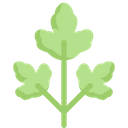 پیش‌نمایش فایل parsley-2748504 از پک سبزیجات