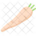 پیش‌نمایش فایل parsnip-2748503 از پک سبزیجات