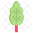 پیش‌نمایش فایل rhubarb-2748499 از پک سبزیجات