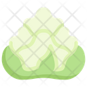 پیش‌نمایش فایل romanesco-2748498 از پک سبزیجات