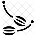 پیش‌نمایش فایل capers-2748575 از پک سبزیجات