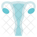 پیش‌نمایش فایل uterus-2834082 از پک آناتومی اندام‌ها