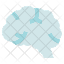 پیش‌نمایش فایل brain-2935275 از پک زیست‌شناسی