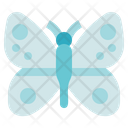 پیش‌نمایش فایل butterfly-2935274 از پک زیست‌شناسی