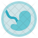 پیش‌نمایش فایل embryo-2935267 از پک زیست‌شناسی