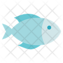پیش‌نمایش فایل fish-2935264 از پک زیست‌شناسی