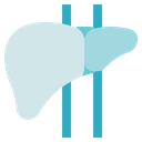 پیش‌نمایش فایل liver-2935255 از پک زیست‌شناسی