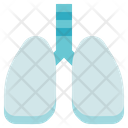 پیش‌نمایش فایل lungs-2935254 از پک زیست‌شناسی