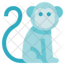 پیش‌نمایش فایل monkey-2935250 از پک زیست‌شناسی