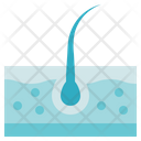 پیش‌نمایش فایل skin-3030658 از پک آلرژی‌ها