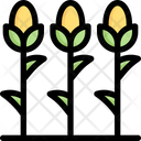 پیش‌نمایش فایل corn-field-3144038 از پک کشاورزی – رنگی