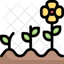 پیش‌نمایش فایل growing-3144020 از پک کشاورزی – رنگی