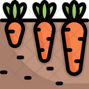 پیش‌نمایش فایل growing-carrot-3144021 از پک کشاورزی – رنگی