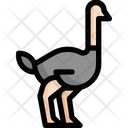 پیش‌نمایش فایل ostrich-farm-3144011 از پک کشاورزی – رنگی