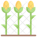 پیش‌نمایش فایل corn-field-3144088 از پک کشاورزی – تخت