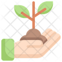 پیش‌نمایش فایل growing-3144069 از پک کشاورزی – تخت