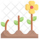 پیش‌نمایش فایل growing-3144070 از پک کشاورزی – تخت