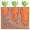 پیش‌نمایش فایل growing-carrot-3144071 از پک کشاورزی – تخت