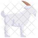 پیش‌نمایش فایل nanny-goat-3144062 از پک کشاورزی – تخت