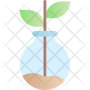 پیش‌نمایش فایل botany-3970935 از پک آموزش و پرورش