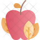 پیش‌نمایش فایل apple-4002492 از پک پاییز