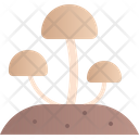 پیش‌نمایش فایل mushroom-4002510 از پک پاییز