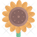 پیش‌نمایش فایل sun-flower-4002520 از پک پاییز