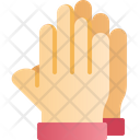 پیش‌نمایش فایل gloves-3985778 از پک بهار