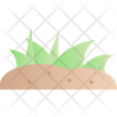 پیش‌نمایش فایل grass-3985779 از پک بهار