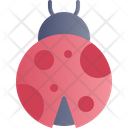 پیش‌نمایش فایل ladybug-3985786 از پک بهار