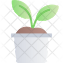 پیش‌نمایش فایل sprout-3985796 از پک بهار