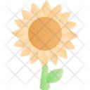 پیش‌نمایش فایل sun-flower-3985798 از پک بهار