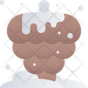 پیش‌نمایش فایل pine-nut-4004150 از پک زمستان