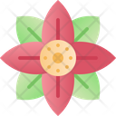 پیش‌نمایش فایل poinsettia-4004151 از پک زمستان