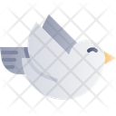 پیش‌نمایش فایل dove-4101511 از پک عید پاک