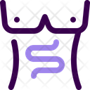 پیش‌نمایش فایل intestine-4329422 از پک آناتومی بدن انسان