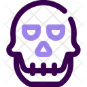 پیش‌نمایش فایل skull-4329438 از پک آناتومی بدن انسان