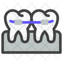 پیش‌نمایش فایل brances-4542204 از پک دندانپزشکی