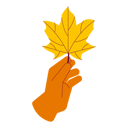 پیش‌نمایش فایل holding-dry-maple-leaf-8526408 از پک الونیا – پاییز
