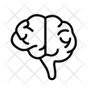 پیش‌نمایش فایل brain-11243498 از پک ترکیبی