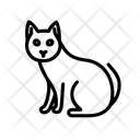 پیش‌نمایش فایل cat-11244138 از پک گربه
